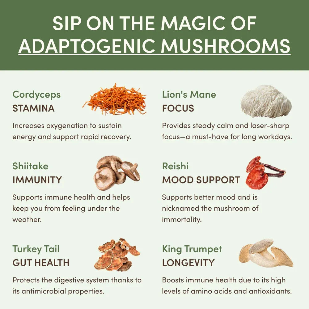 RYZE SUPERFOODS Mushroom Matcha Starter Kit, USDA Organic with 6 Adaptogenic Mushrooms and Ceremonial-Grade Matcha, Energy, Focus, Digestion, Immunity with Turkey Tail, Shiitake, Reishi, 30 Servings
